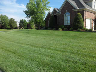 Photo large green lawn