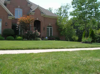 Photo front lawn